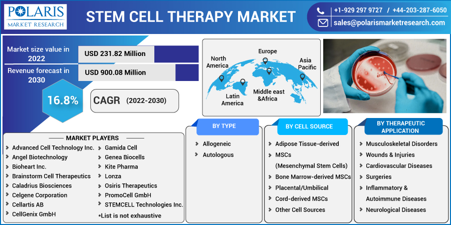 Stem Cell Therapy Market